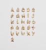 Wolf Circus Alphabet Charm - 14k Gold Plated - Thumbnail 1