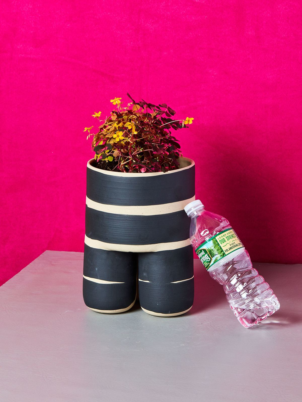 Black Striped Milking Planter - Thumbnail 4