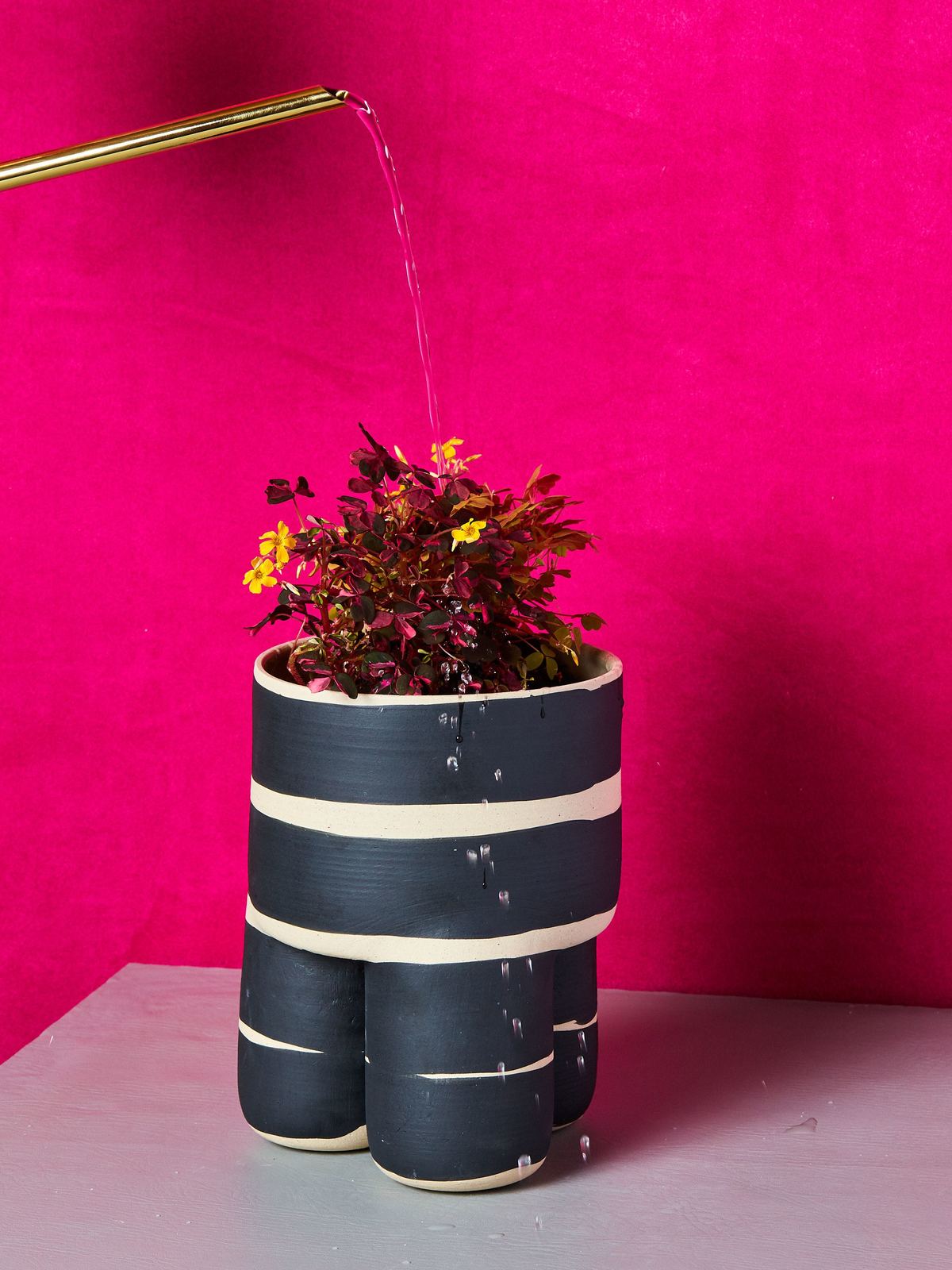 Black Striped Milking Planter - Thumbnail 3