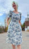 Birds of North America Winter Chippy Dress - Navy Village Toile - Thumbnail 10