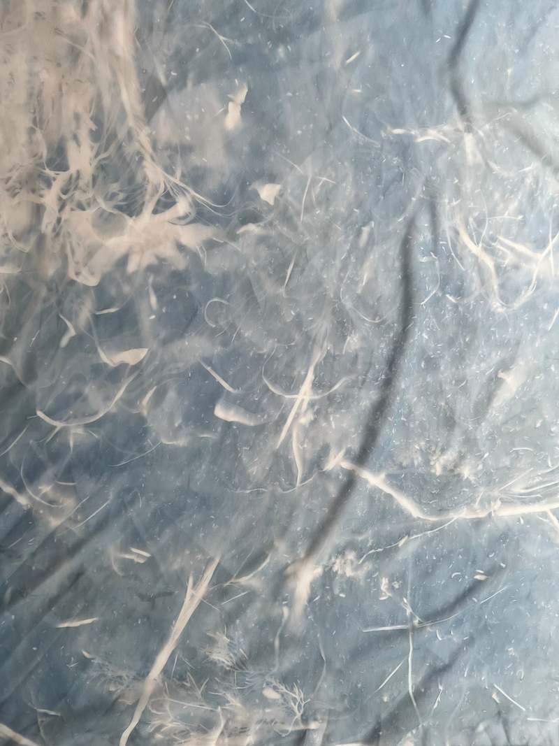 Chase Shuman Handprinted Chiffon Scarf