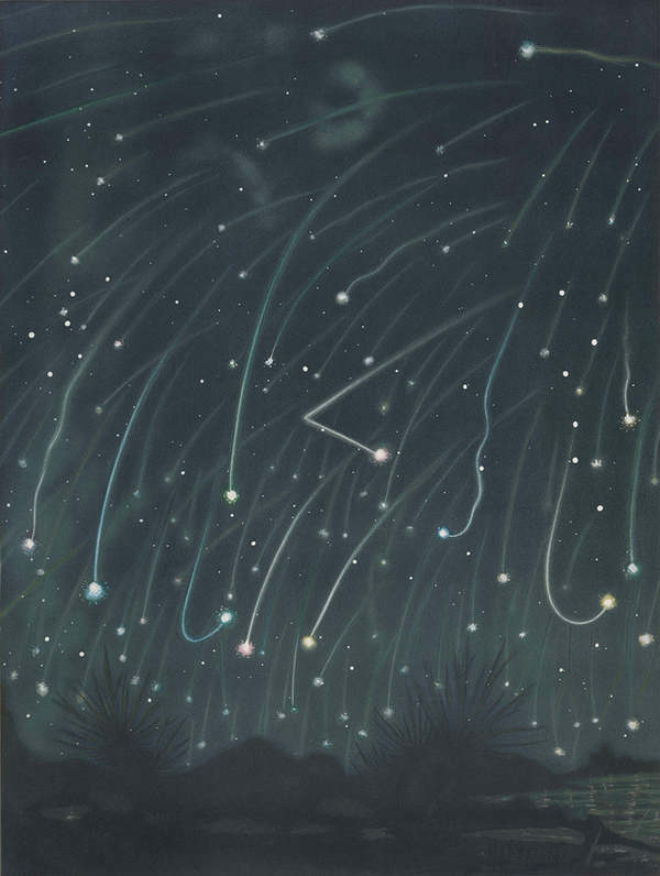 meg cohen Advent Calendar