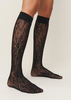 Swedish Stockings Rosa Lace Knee Highs - Black - Thumbnail 4