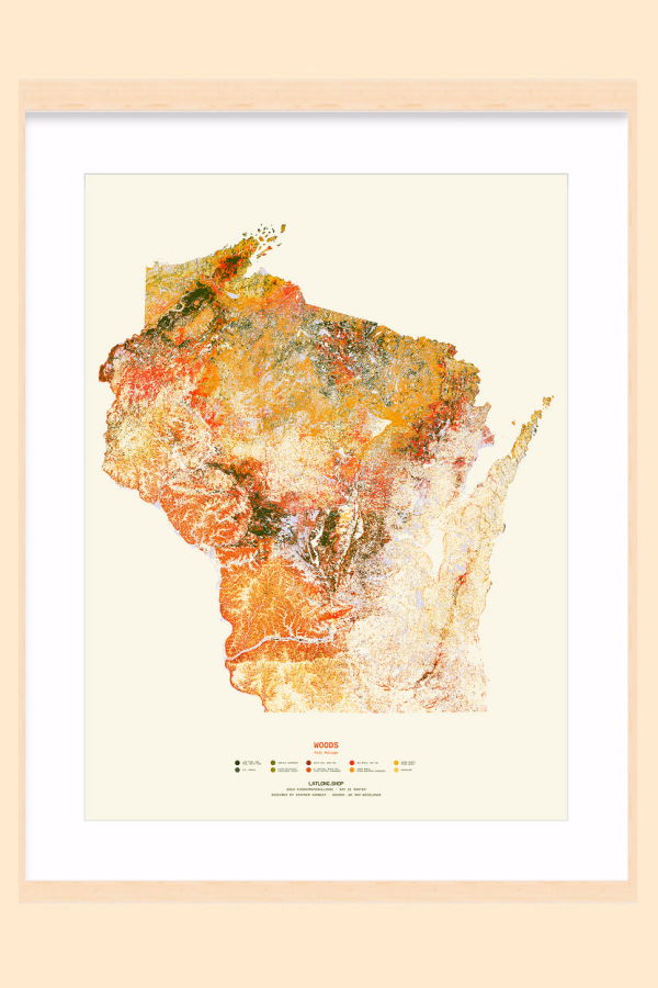 LATLONG.SHOP Woods Fall Foliage / XL Print