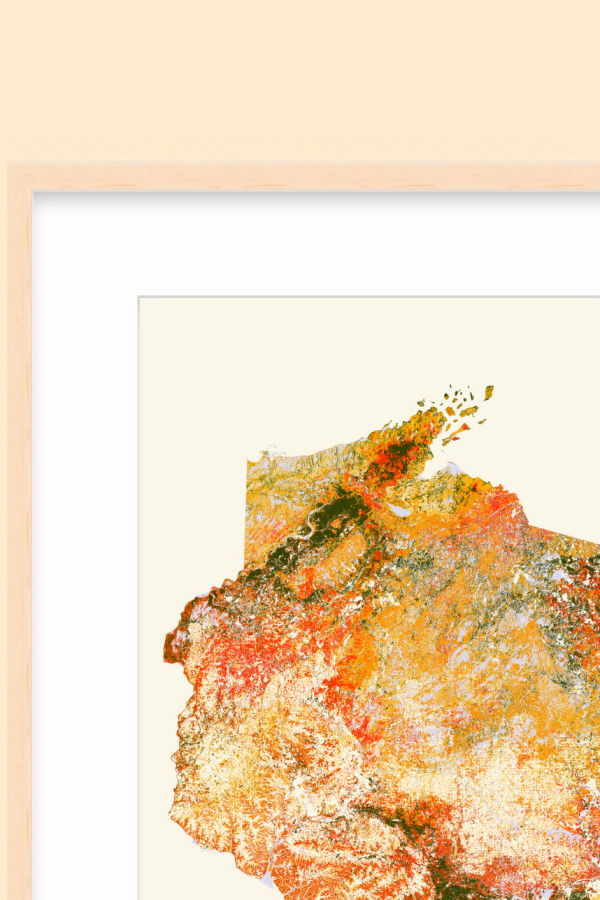 LATLONG.SHOP Woods Fall Foliage / XL Print