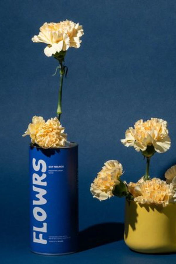 Flowrs Tea Gut Feelings Tea