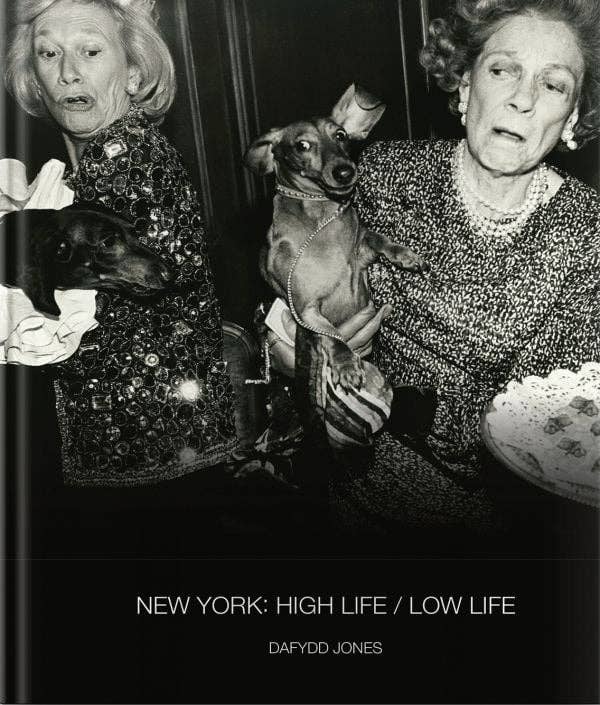 NEW YORK: HIGH LIFE LOW LIFE by Dafydd Jones Book