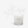 Maison Louis Marie No. 04 - Bois de Balincourt Candle - Thumbnail 1