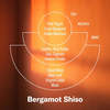 P.F. Candle Co. Bergamot Shiso Alchemy Reed Diffuser - Thumbnail 4