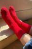 Le Bon Shoppe Classic Cashmere Socks - Red - Thumbnail 3