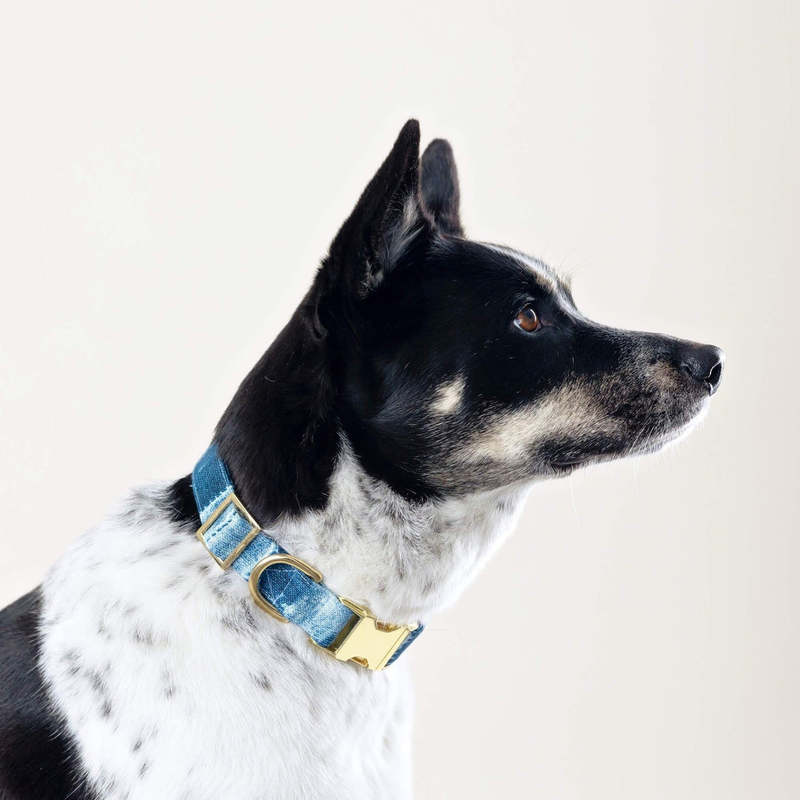 The Foggy Dog Mud Cloth Dog Collar