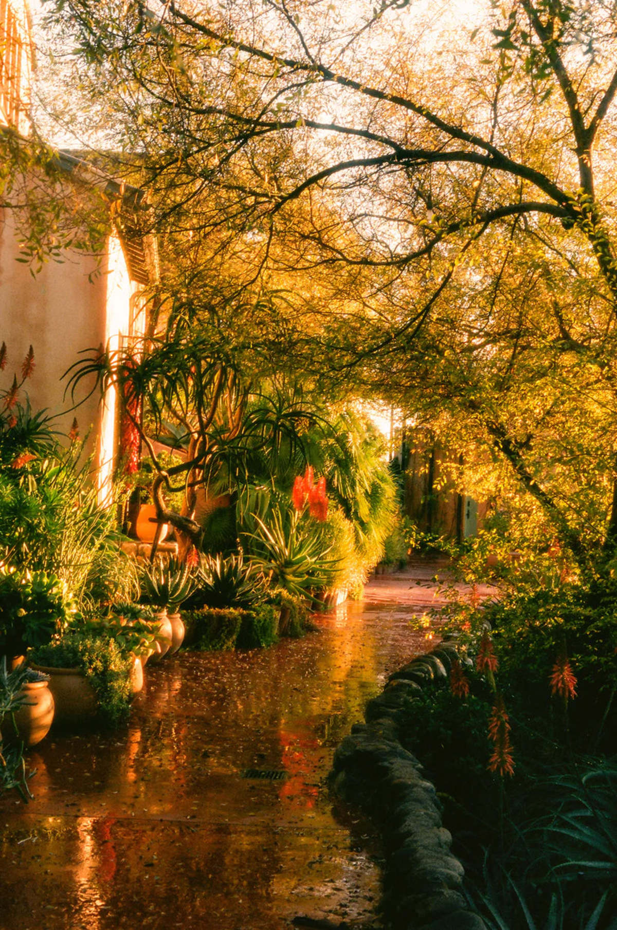 Flamingo Estate Petrichor Candle - Image 2 of 4