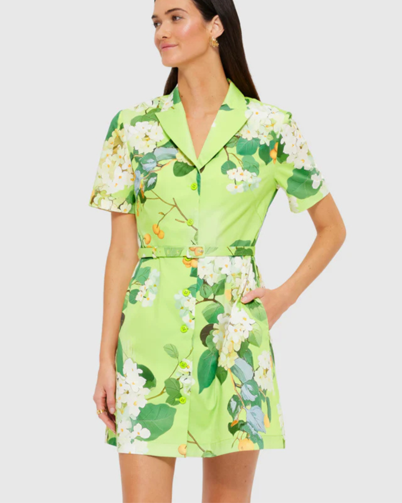 Leo Lin Brigitte Mini Dress - Lime Hydrangea | Garmentory