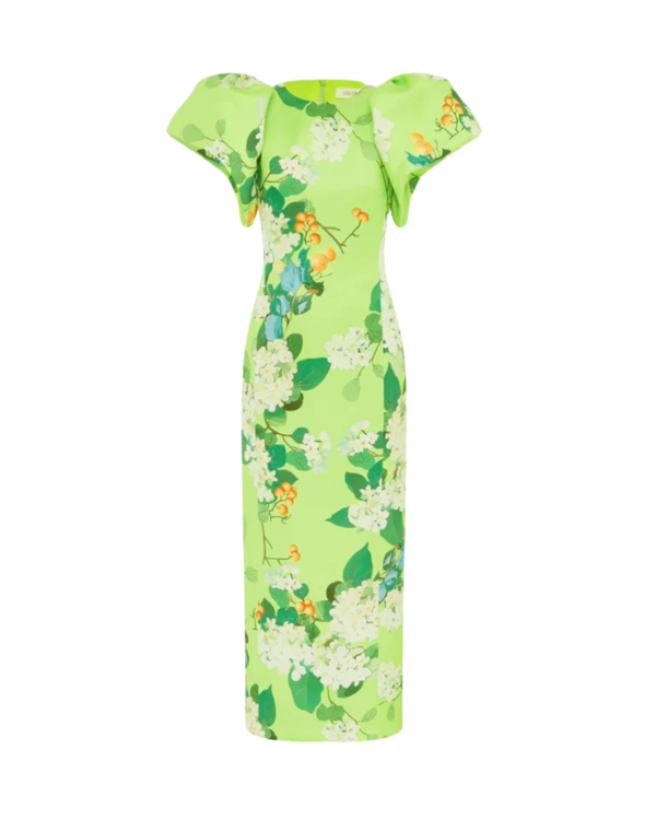 Leo Lin Lucinda Printed Maxi Dress - Lime Hydrangea | Garmentory Leo Lin Lucinda Printed Maxi Dress - Lime Hydrangea | Garmentory