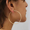Jenny Bird Icon Hoops - Gold - Thumbnail 3