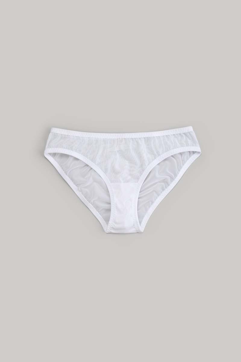 Italian Mesh Bikini Brief