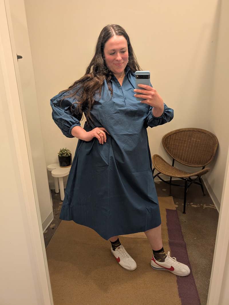 Black Crane Balloon Sleeve Dress - Blue