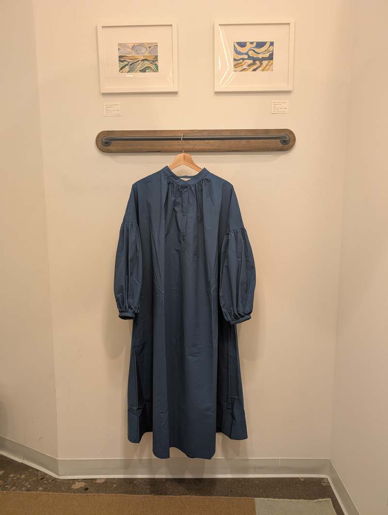 Black Crane Balloon Sleeve Dress - Blue