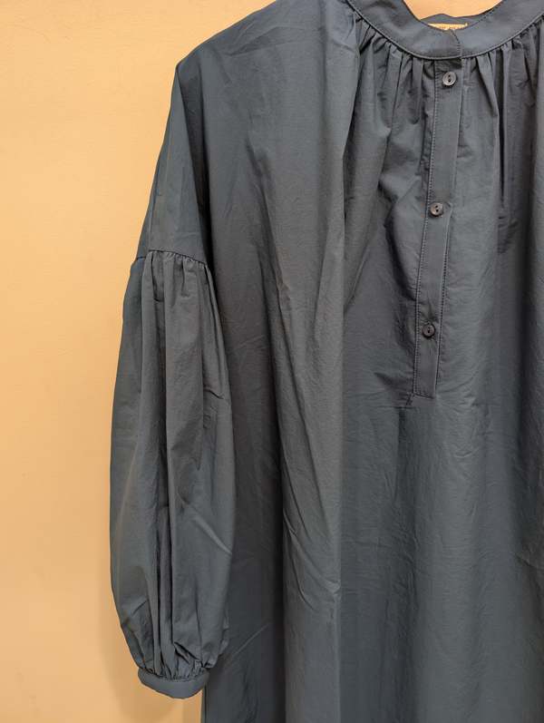 Black Crane Balloon Sleeve Dress - Blue