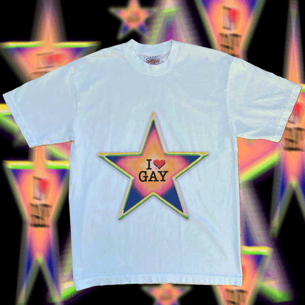 w3b st4r I <3 Gay Tee w3b st4r I <3 Gay Tee