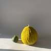 Scandles Casaba Melon Candle - Thumbnail 5