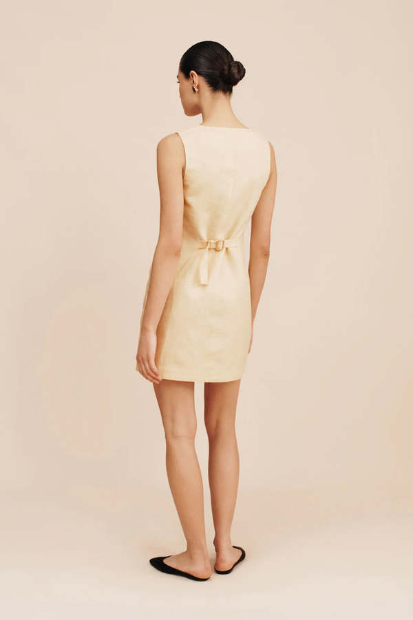 Posse Emma Button Down Mini Dress - Dusty Citron