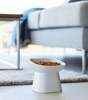 Yamazaki Home Tilted Pet Food Bowl - Thumbnail 3