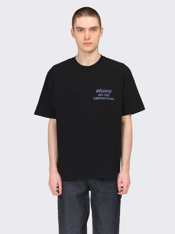 Stussy California Grown Pigment Dyed Tee - Black | Garmentory