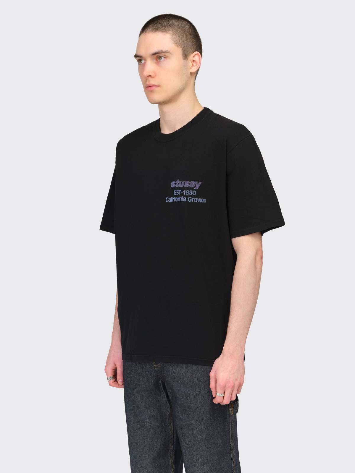 Stussy California Grown Pigment Dyed Tee - Black | Garmentory