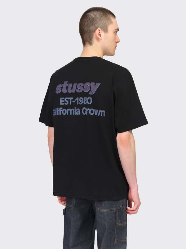 Stussy California Grown Pigment Dyed Tee - Black | Garmentory