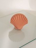 Los Objetos Decorativos Seashell Ceramic Box - Thumbnail 6