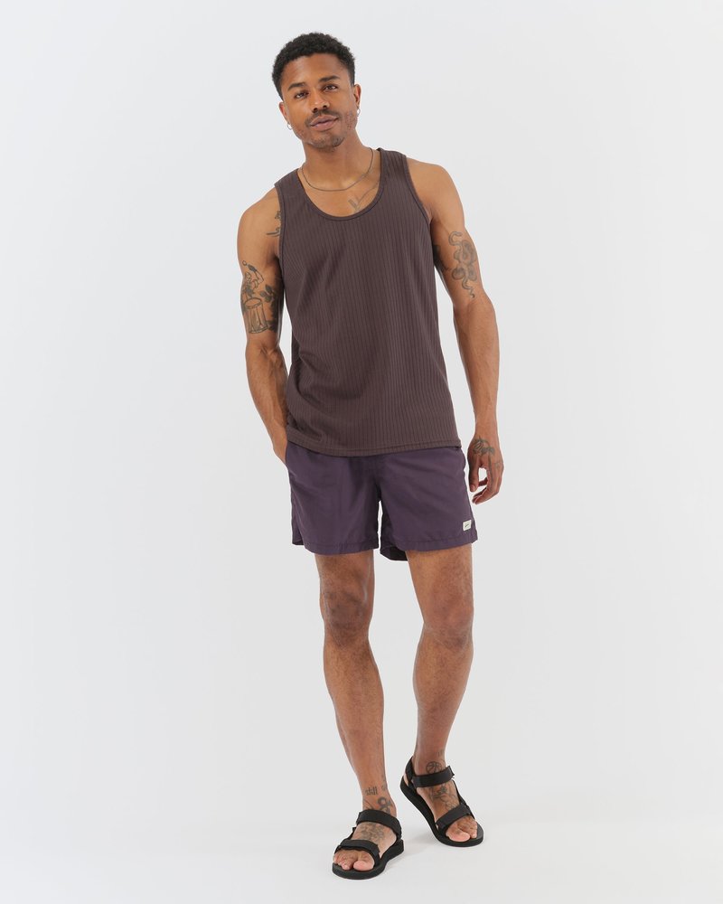 Solid and Striped Solid Swim Trunk