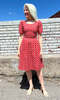 Birds of North America Winter Chippy Dress - Red Patches - Thumbnail 3