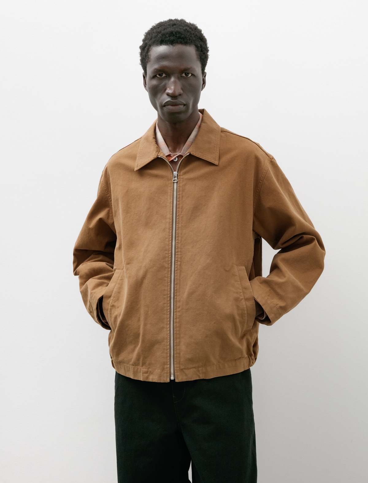 Ernie Palo Cotton Nidom Zip Blouson Jacket | Garmentory