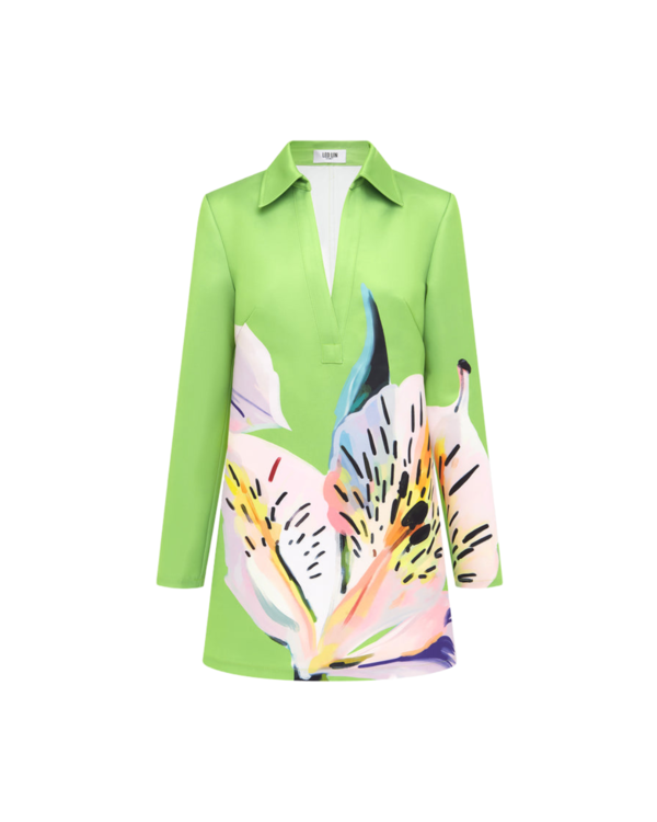 chinese dress ladies Aubrey Appliqu Shirt Midi Dress