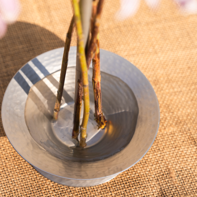 The Collective Home Floral Stem Holder The Collective Home Floral Stem Holder
