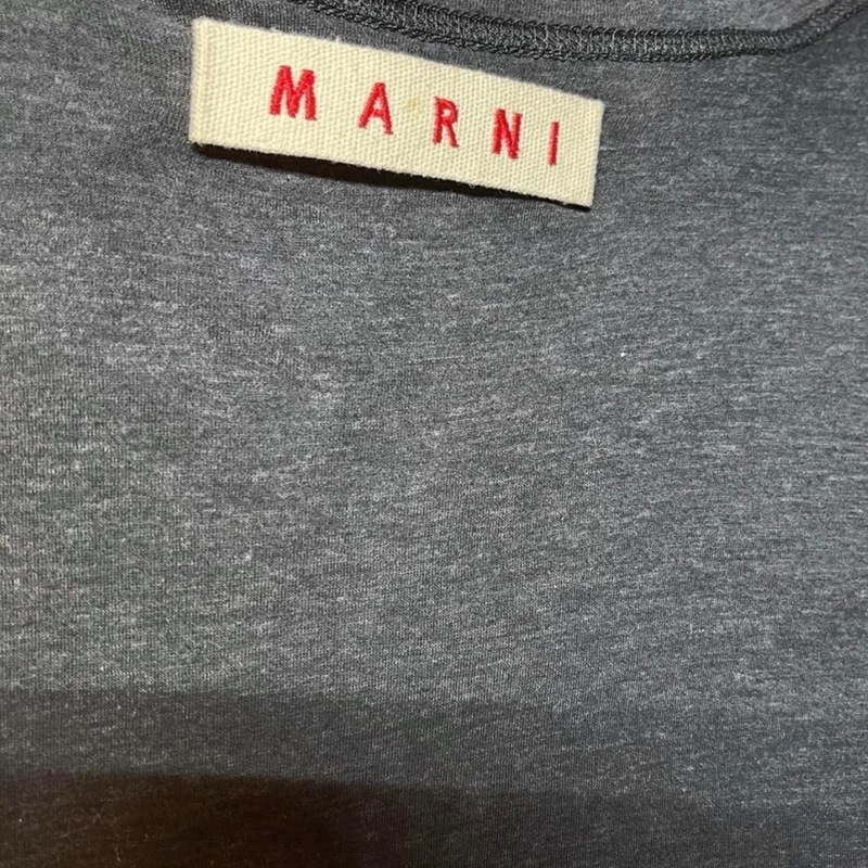 Marni Drop Waist Ruched Dress