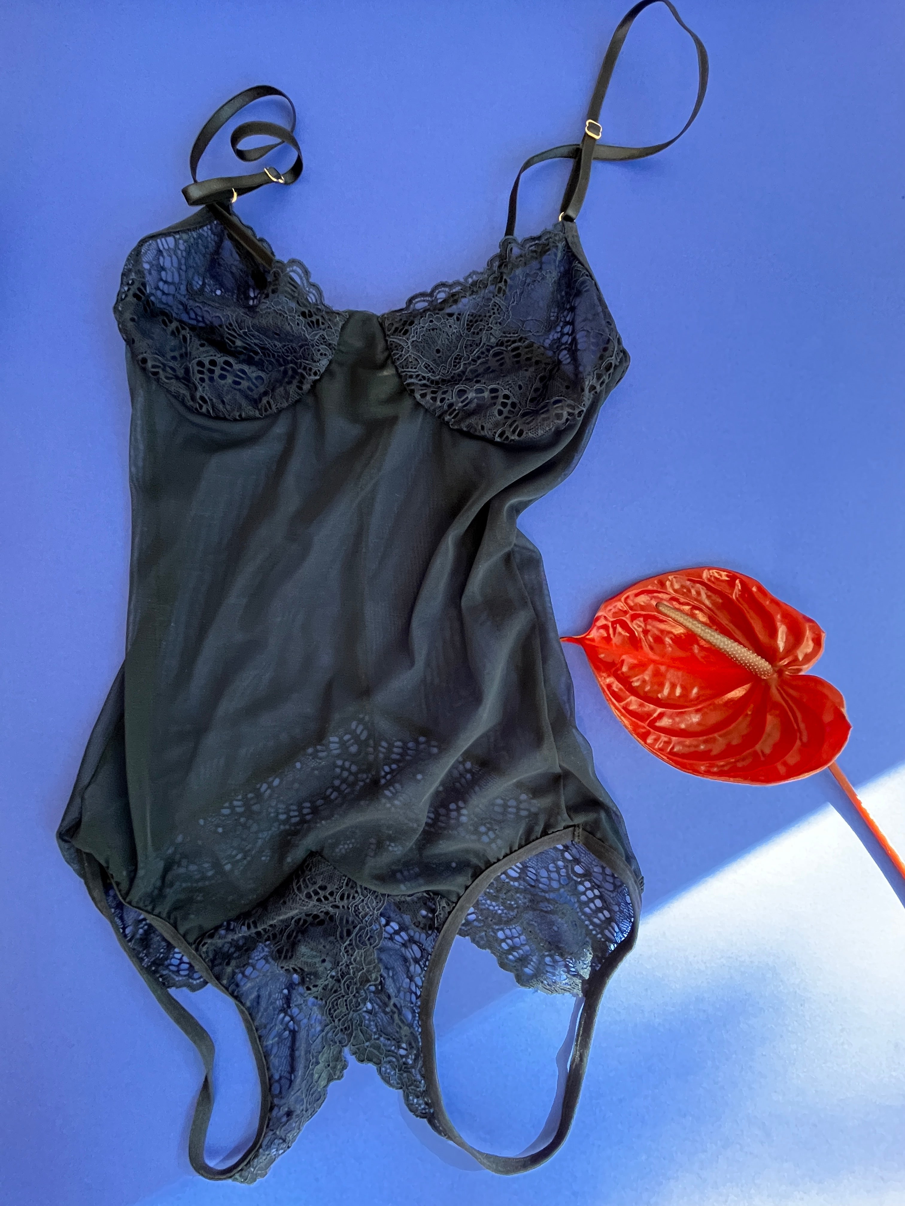 Only Hearts Whisper Sweet Nothings Coucou Ouvert Bodysuit Midnight