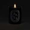 Diptyque Medium Candle (300 g) Candle - Berries - Thumbnail 2