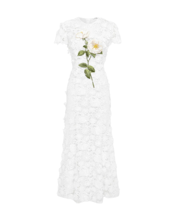 knee length dresses for ladies Leo Lin
