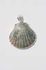 Odissea NY Large Shell Pendant - Thumbnail 5