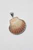 Odissea NY Large Shell Pendant - Thumbnail 6
