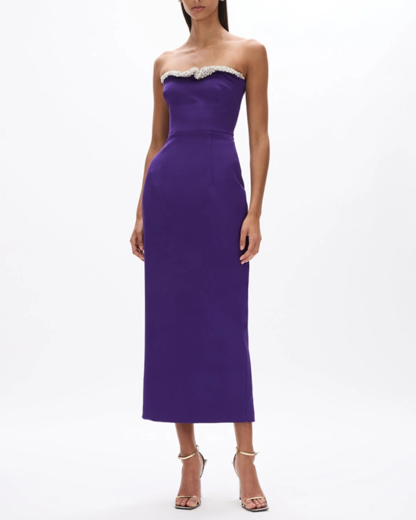 rachel gilbert purple dress Rachel Gilbert Women's Marlo GOWN, Purple, 2