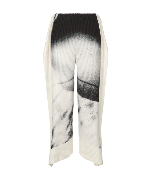 Issey Miyake Shadow Study Pleats Pants