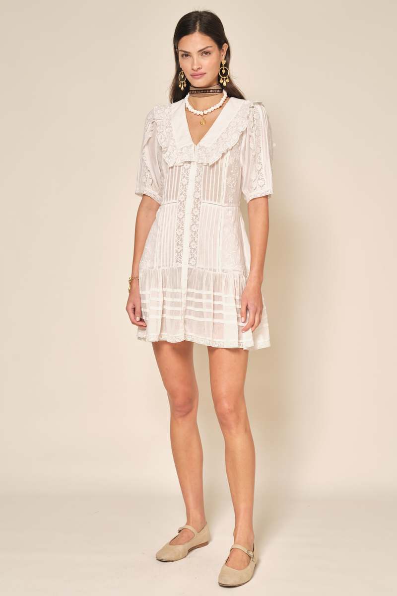 rixo embroidered dress Marne Linen Mini Dress in Ombre Floral Embroidery Cream