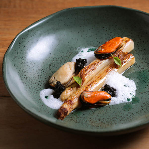 Porto Brasil Pasta Plate Set of 4