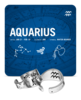 Whitney Howard Designs Zodiac/Celestial Ring - Aquarius - Thumbnail 1