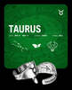 Whitney Howard Designs Zodiac/Symbol Ring - Taurus  - Thumbnail 1
