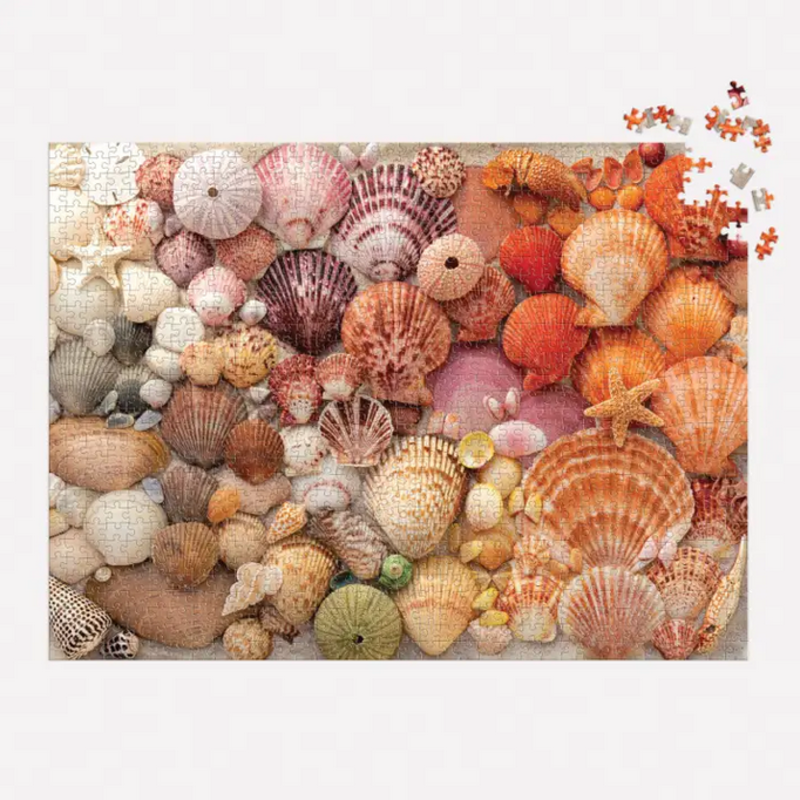 Chronicle Books Vibrant Seashells Puzzle