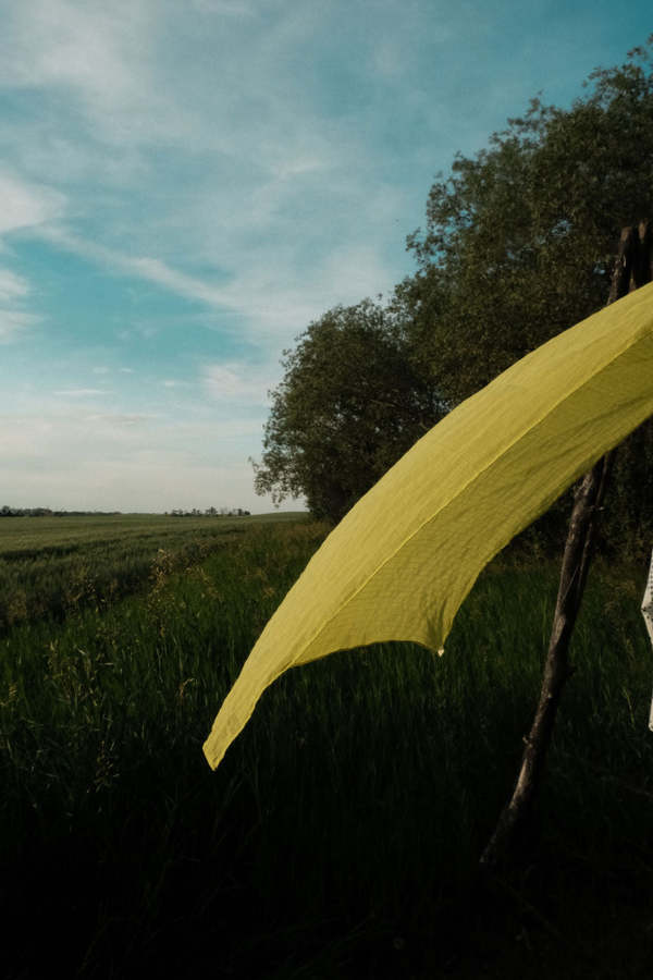 World of Crow Parrot Toto Bandana - Lime Green